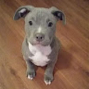 Meet your Posher, Jaclyn